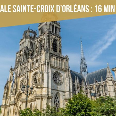 Le St Paterne, Hyper Centre, 3 Chambres Tt Confort Orléans Exteriör bild